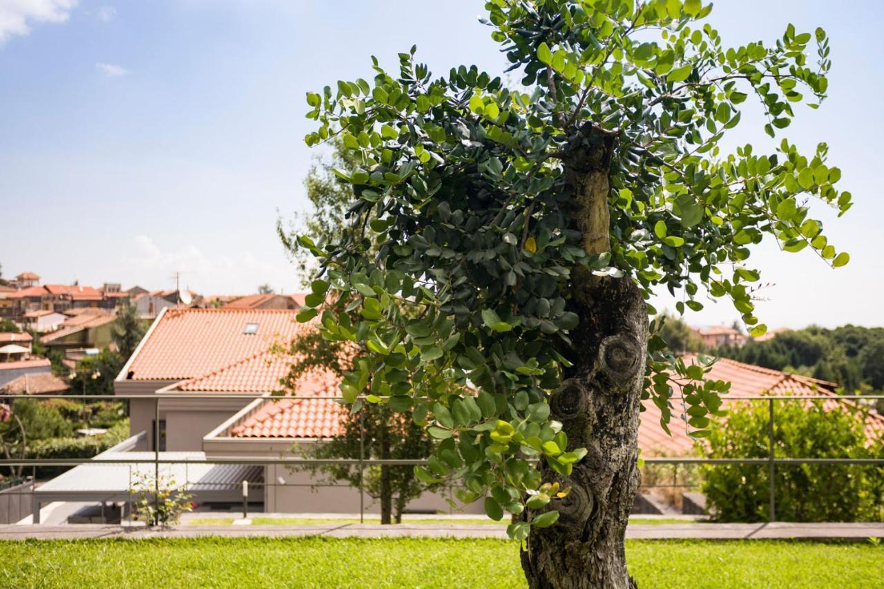 Casa Vacanza Etna Dream Zafferana Etnea Esterno foto